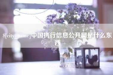 阳江中国执行信息公开网是什么东西