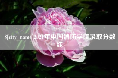 阳江2021年中国消防学院录取分数线