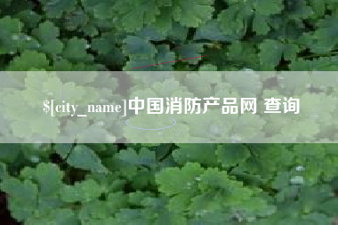 阳江中国消防产品网 查询