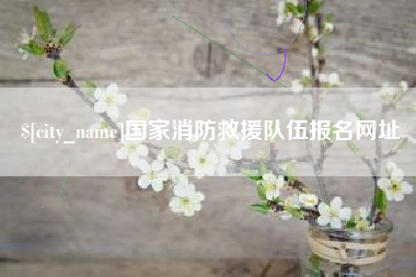 阳江国家消防救援队伍报名网址
