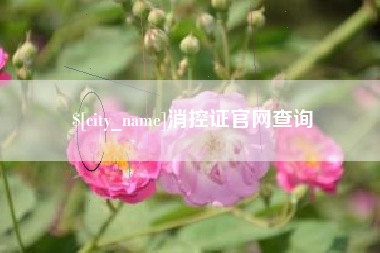 阳江消控证官网查询