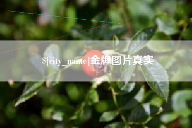 阳江金牌图片真实