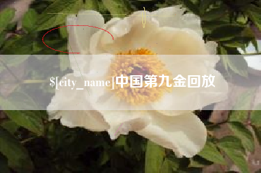 阳江中国第九金回放