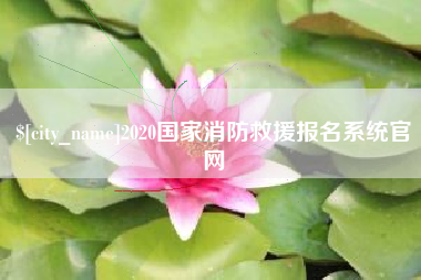 阳江2020国家消防救援报名系统官网