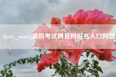 阳江消防考试网官网报名入口网址