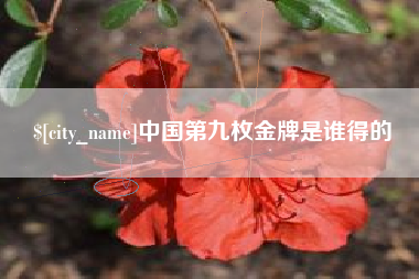 阳江中国第九枚金牌是谁得的