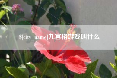 阳江九宫格游戏叫什么