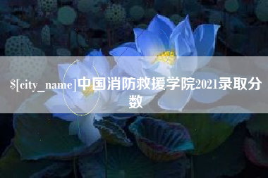 阳江中国消防救援学院2021录取分数