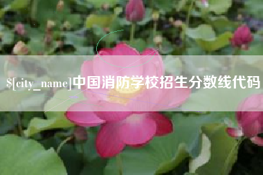 阳江中国消防学校招生分数线代码