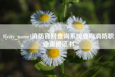 阳江消防官网查询系统查询消防职业资格证书