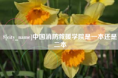 阳江中国消防救援学院是一本还是二本