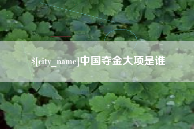 阳江中国夺金大项是谁