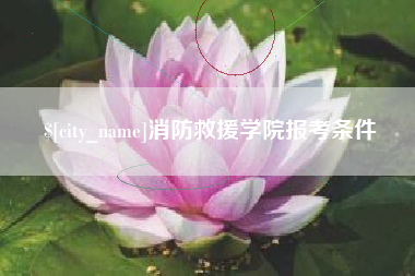 阳江消防救援学院报考条件