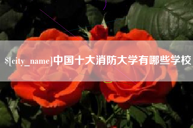 阳江中国十大消防大学有哪些学校