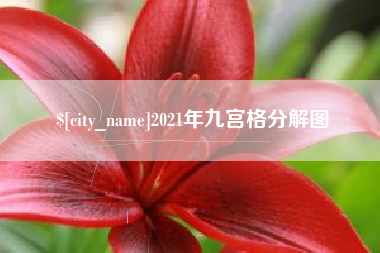 阳江2021年九宫格分解图