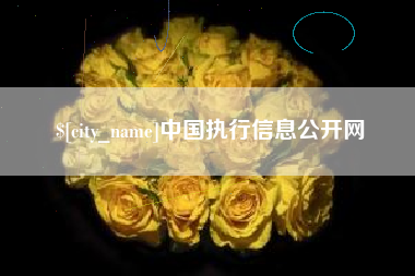 阳江中国执行信息公开网