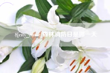 阳江森林消防日是哪一天