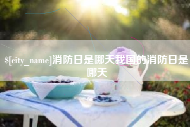 阳江消防日是哪天我国的消防日是哪天