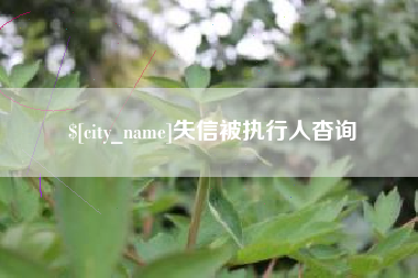 阳江失信被执行人杳询