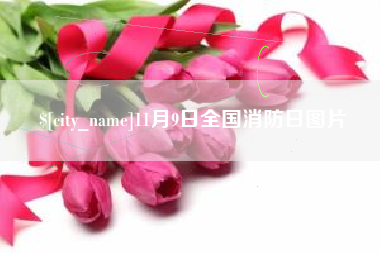 阳江11月9日全国消防日图片