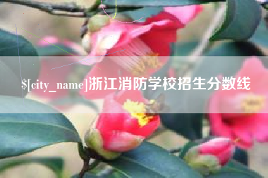 阳江浙江消防学校招生分数线