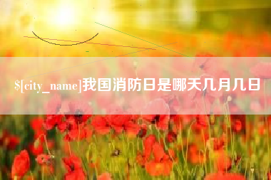阳江我国消防日是哪天几月几日