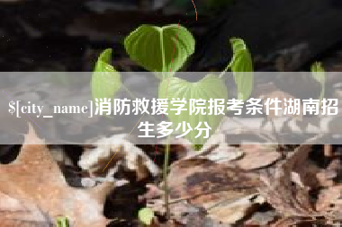 阳江消防救援学院报考条件湖南招生多少分