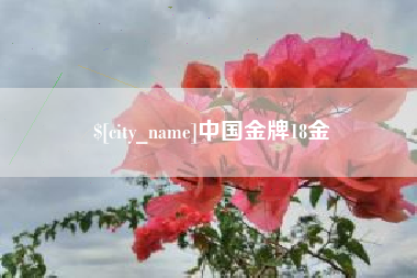 阳江中国金牌18金