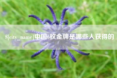 阳江中国6枚金牌是哪些人获得的