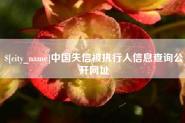 阳江中国失信被执行人信息查询公开网址