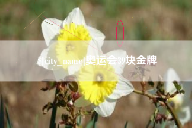阳江奥运会39块金牌