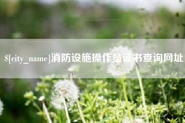 阳江消防设施操作员证书查询网址