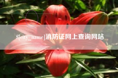 阳江消防证网上查询网站