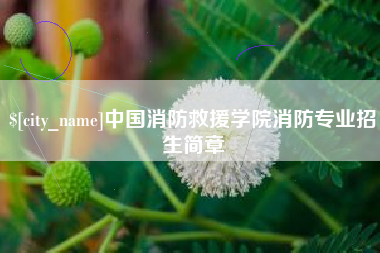 阳江中国消防救援学院消防专业招生简章