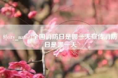 阳江全国消防日是哪一天宣传消防日是哪一天