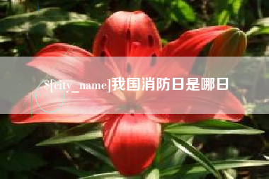 阳江我国消防日是哪日