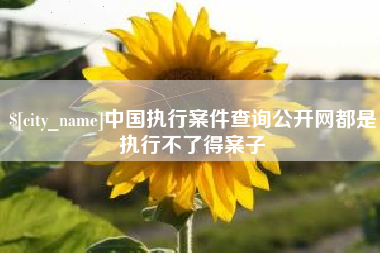 阳江中国执行案件查询公开网都是执行不了得案子