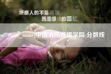 阳江中国消防救援学院 分数线