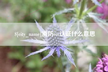 阳江消防ccc认证什么意思