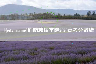 阳江消防救援学院2020高考分数线