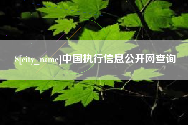 阳江中国执行信息公开网查询