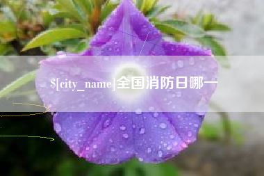 阳江全国消防日哪一