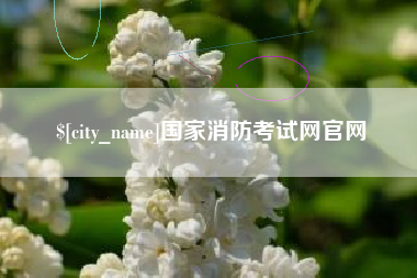 阳江国家消防考试网官网