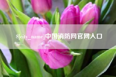 阳江中国消防网官网入口