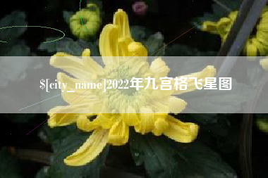 阳江2022年九宫格飞星图