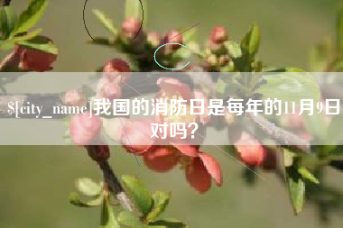 阳江我国的消防日是每年的11月9日对吗？