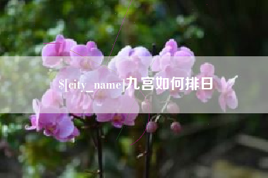 阳江九宫如何排日