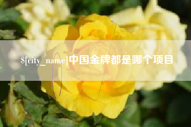 阳江中国金牌都是哪个项目