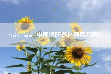 阳江中国消防器材网官方网站