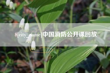 阳江中国消防公开课回放